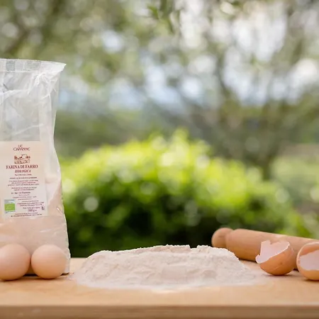 Agriturismo Le Capanne Apartment Santa Cristina (Arezzo)