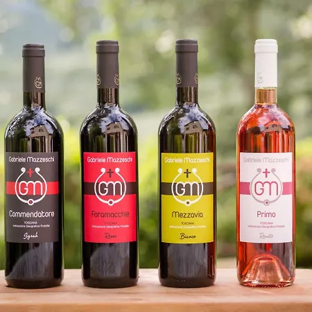 Apartment Agriturismo Le Capanne Santa Cristina (Arezzo)