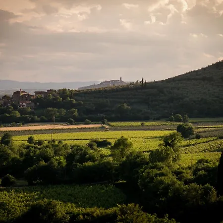 Agriturismo Le Capanne Apartment Santa Cristina (Arezzo)